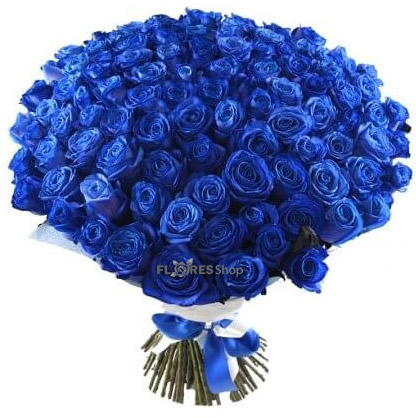 1723 Amo Rosa Azul (escolha a partir de 30 rosas) 