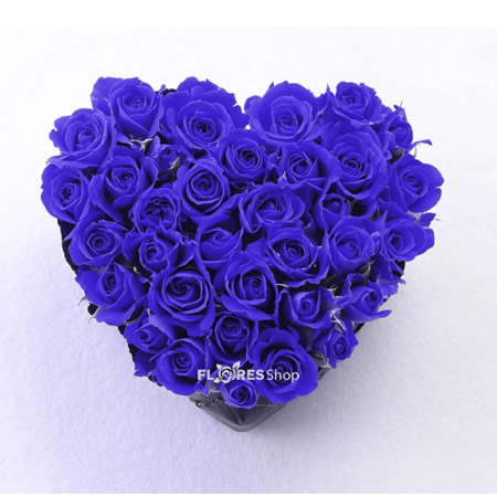 1724 ♡ Coração Rosas Azuis ♡