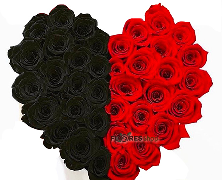 1985 Coração Rubro Negro 40 rosas