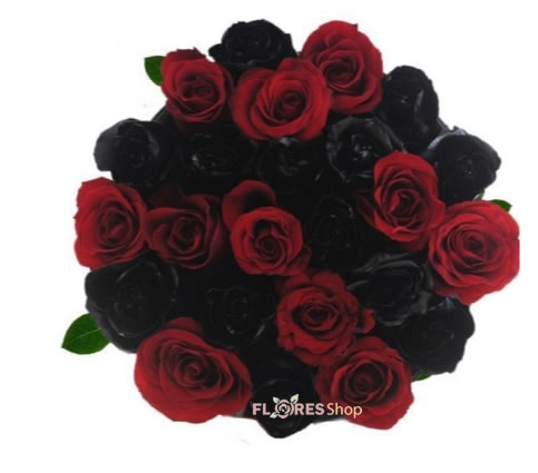 2577 Rosas Negras e Vermelhas