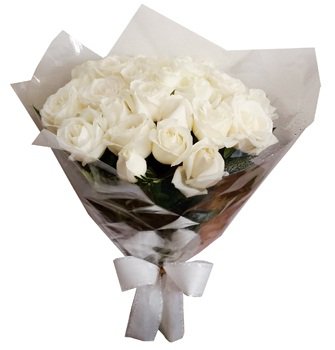 550 White Rose
