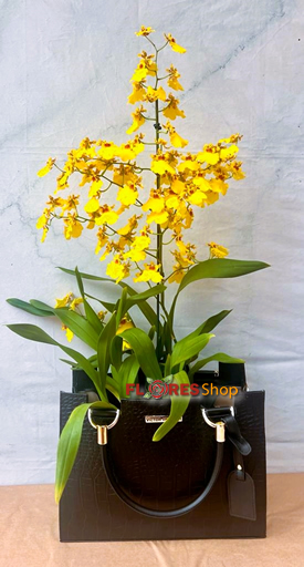 6023 Mamãe - Bolsa com Orquídea linda!